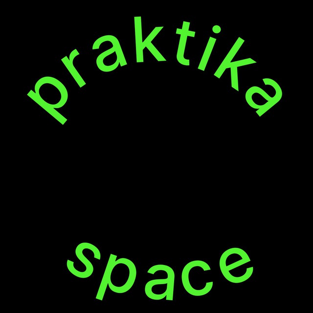 Логотип Praktika Space