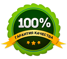 Обнови качество. Знак 100 качество. 100% Гарантия. Гарантия качества зеленый. Значок гарантия качества.