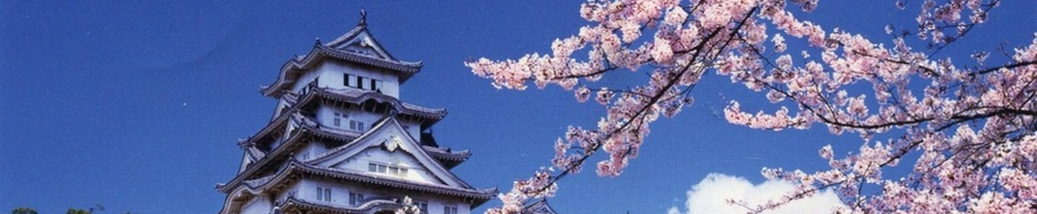 Вкус японской жизни