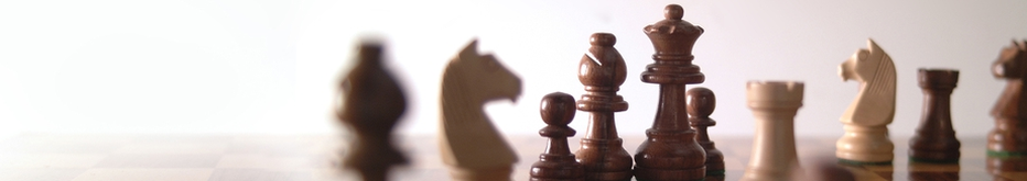 Стратегический менеджмент в бизнес-туризме