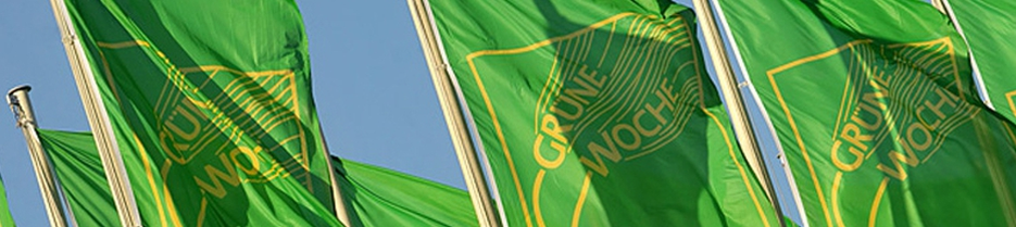 Маршруты Берлинской зеленой недели