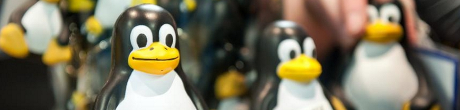 Такс на свете всех милее