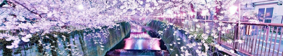 Настроение Южной Кореи