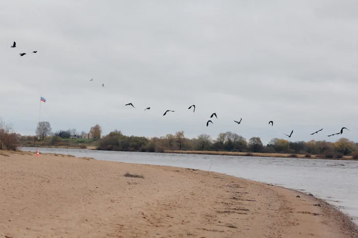 TCK_171016-394.jpg