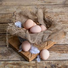 Яйца цесарки, 10 шт. в упаковке