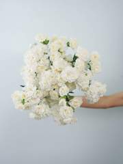 Generosity White
