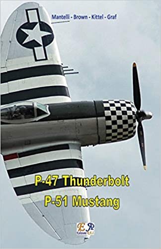 okumak P-47 Thunderbolt - P-51 Mustang