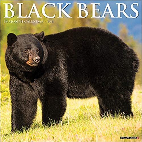 okumak Black Bears 2021 Calendar