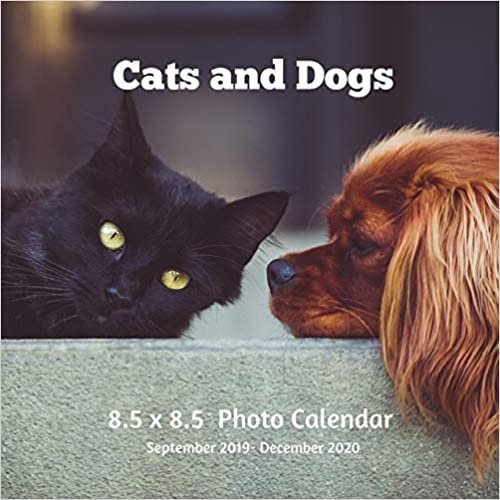 okumak Cats and Dogs 8.5 X 8.5 Photo Calendar September 2019 -December 2020: Monthly Calendar with U.S./UK/ Canadian/Christian/Jewish/Muslim Holidays-Puppies Kittens Breeds