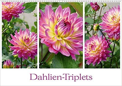 okumak Dahlien-Triplets (Wandkalender 2021 DIN A2 quer): Auf jeder Kalenderseite: Dahlien im Dreierpack (Monatskalender, 14 Seiten ) (CALVENDO Natur)