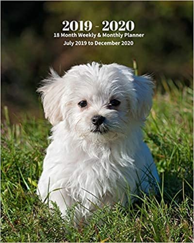 okumak 2019 - 2020 | 18 Month Weekly &amp; Monthly Planner July 2019 to December 2020: Maltese Pup Dog Pet Monthly Calendar with U.S./UK/ ... Calendar in Review/Notes 8 x 10 in. Vol 21