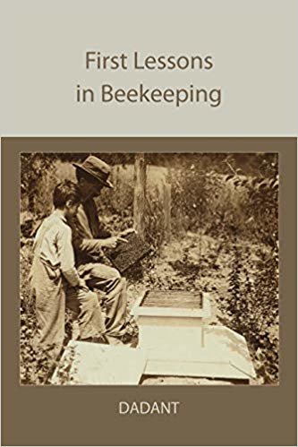 okumak First Lessons in Beekeeping