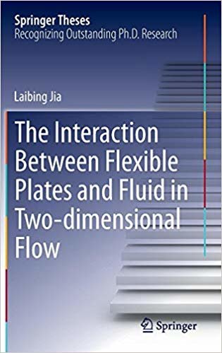 okumak The Interaction Between Flexible Plates and Fluid in Two-dimensional Flow