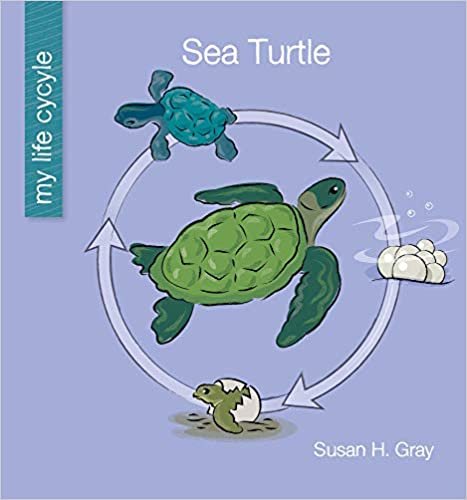 okumak Sea Turtle (My Early Library: My Life Cycle)