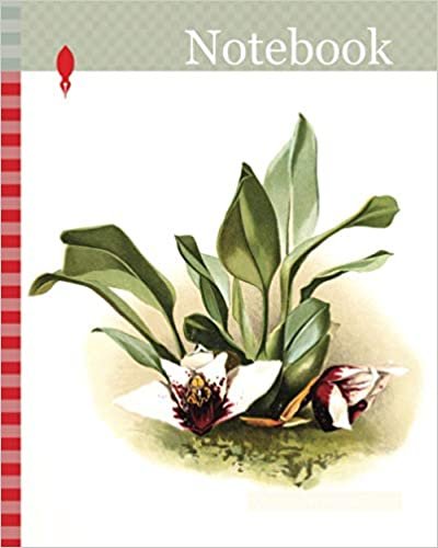 okumak Notebook: Orchid, Maxillaria sanderiana, Sander, F. (Frederick), 1847-1920, Mansell, Joseph, Lithographer, Moon, H. G