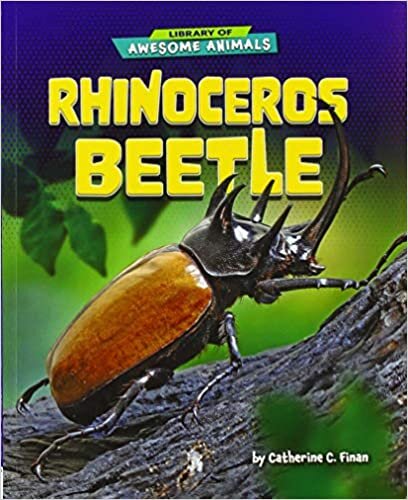 okumak Rhinoceros Beetle (Library of Awesome Animals)