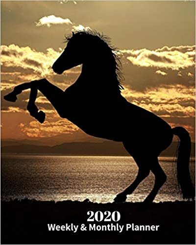 okumak 2020 Weekly and Monthly Planner: Horse Shadow - Monthly Calendar with U.S./UK/ Canadian/Christian/Jewish/Muslim Holidays– Calendar in Review/Notes 8 x 10 in.- Horse Animal Nature