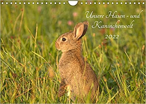 okumak Unsere Hasen - und Kaninchenwelt (Wandkalender 2022 DIN A4 quer): Beobachten Sie doch mit mir die heimische Tierwelt, z. B. die flinken Feldhasen und ... 14 Seiten ) (CALVENDO Tiere)