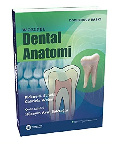okumak Woelfel Dental Anatomi