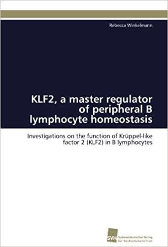 okumak KLF2, a master regulator of peripheral B lymphocyte homeostasis: Investigations on the function of Krüppel-like factor 2 (KLF2) in B lymphocytes