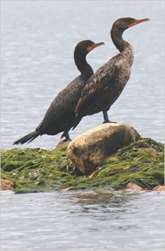 okumak Wildlife Journal: Cormorants (W. F. Bloom Journals)