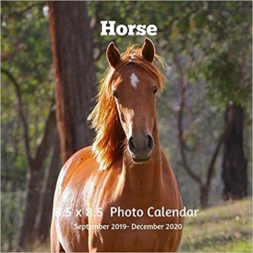 okumak Horses 8.5 X 8.5 Calendar September 2019 -December 2020: Monthly Calendar with U.S./UK/ Canadian/Christian/Jewish/Muslim Holidays-Horses Animal Nature