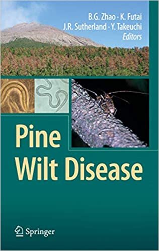 okumak Pine Wilt Disease