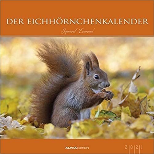 okumak Der Eichhörnchenkalender 2021 - Bild-Kalender 33x33 cm - Squirrels - Tierkalender - Wandplaner - Alpha Edition