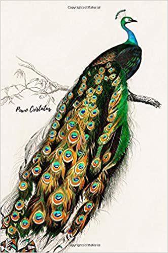 okumak Pavo Cristatus: (Indian Peafowl) Blank Writing Journal (6 x 9 Softcover 100 pages College Rule) featuring Peacock illustrated by Charles Dessalines D&#39; ... Dictionnaire Universel D&#39;histoire Naturelle