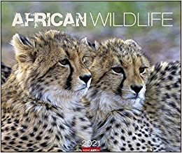 okumak African Wildlife Kalender 2021