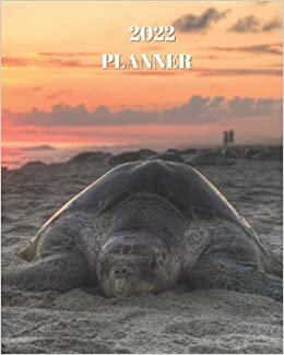 okumak 2022 Planner: Sunny Turtle - Monthly Calendar with U.S./UK/ Canadian/Christian/Jewish/Muslim Holidays– Calendar in Review/Notes 8 x 10 in.-Nature Animals For Work Business School