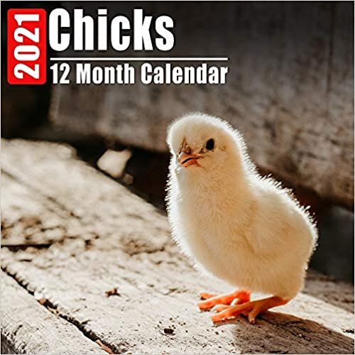 okumak Calendar 2021 Chicks: Cute Chick Photos Monthly Mini Calendar With Inspirational Quotes each Month