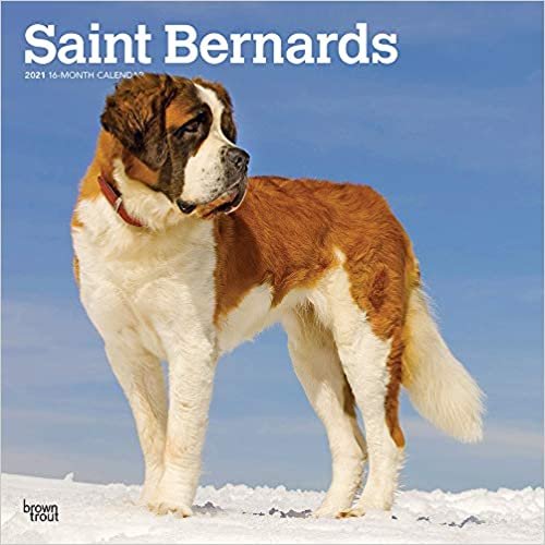 okumak Saint Bernards - Bernhardiner 2021 - 16-Monatskalender mit freier DogDays-App: Original BrownTrout-Kalender [Mehrsprachig] [Kalender] (Wall-Kalender)