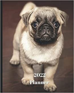 okumak 2022 Planner: Pug Puppy -12 Month Planner January 2022 to December 2022 Monthly Calendar with U.S./UK/ Canadian/Christian/Jewish/Muslim Holidays– Calendar in Review/Notes 8 x 10 in.- Dog Breed Pets