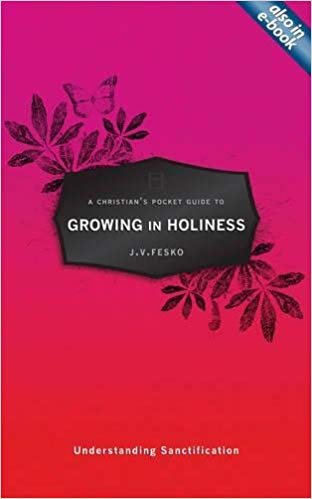 okumak A Christian&#39;s Pocket Guide to Growing in Holiness : Understanding Sanctification