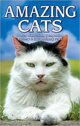okumak Amazing Cats: Stories of Intuition, Compassion, Mystery &amp; Extraordinary Feats