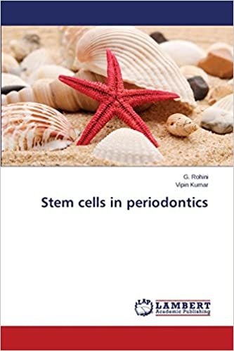 okumak Stem cells in periodontics