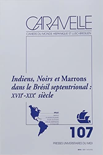 okumak INDIENS, NOIRS ET MARRONS AU BRÉSIL : XVIIE-XIXE SIÈCLE: (REVUE CARAVELLE N° 107)