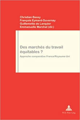okumak Des marchés du travail équitables?: Approche comparative France/Royaume-Uni (Travail et Société / Work and Society, Band 33)
