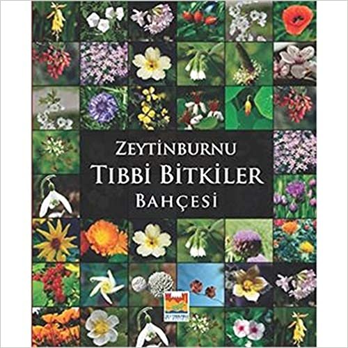 okumak Zeytinburnu Tıbbi Bitkiler Bahçesi