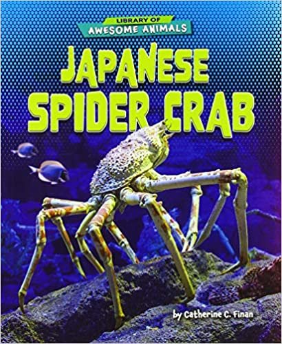 okumak Japanese Spider Crab (Library of Awesome Animals)
