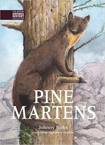 okumak Pine Martens (BNHC Vol:8) (The British Natural History Collection)