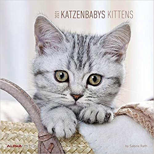 okumak Katzenbabys 2021 Broschürenkalender