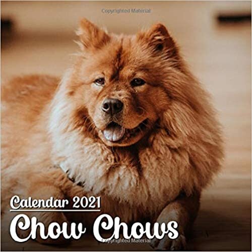 okumak Calendar 2021 Chow Chows: Cute Chow Chows Photos Monthly Mini Calendar | Small Size