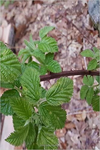 okumak Journal Spring Leaves Thorny Vine: (Notebook, Diary, Blank Book) (Nature Photo Journals Notebooks Diaries)