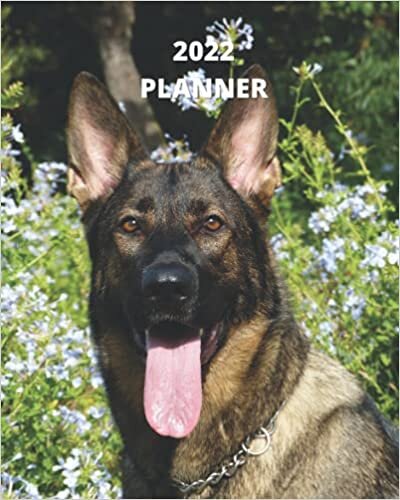okumak 2022 Planner: German Shepherd Dog -12 Month Planner January 2022 to December 2022 Monthly Calendar with U.S./UK/ Canadian/Christian/Jewish/Muslim ... in Review/Notes 8 x 10 in.- Dog Breed Pets