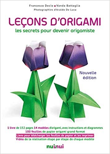 okumak Leçons d&#39;origami - Nouvelle édition