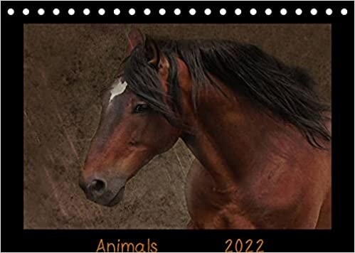 okumak Animals (Tischkalender 2022 DIN A5 quer): Künstlerische Tierfotografien von A - Z (Monatskalender, 14 Seiten ) (CALVENDO Tiere)
