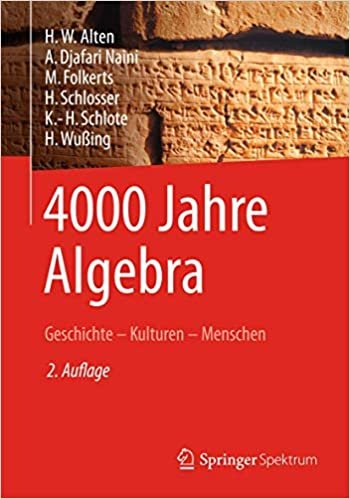 okumak 4000 Jahre Algebra: Geschichte – Kulturen – Menschen (Vom Zählstein zum Computer)