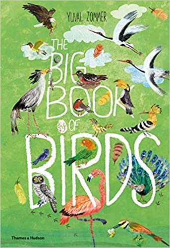 okumak The Big Book of Birds